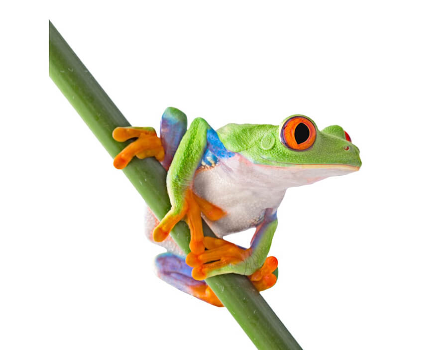 12 12