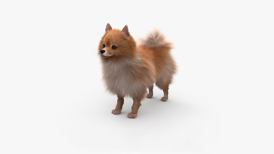 dog-1